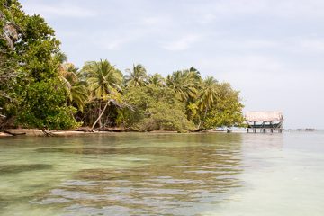 IMG_5367