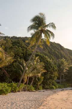 IMG_9626