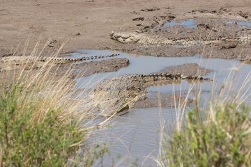 IMG_7608
