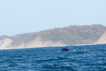 27022012-215.jpg