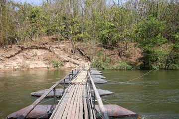 IMG_0529.jpg