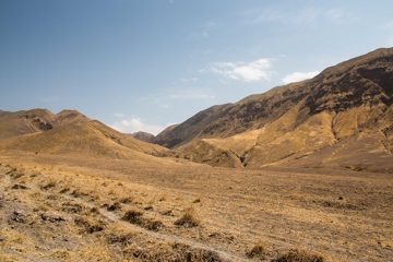 IMG_6784