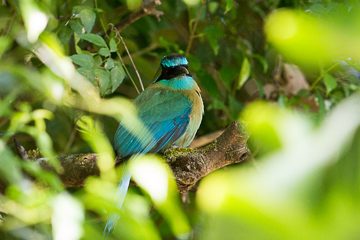 IMG_8680