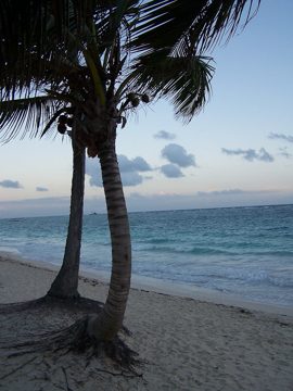 100_2763.jpg