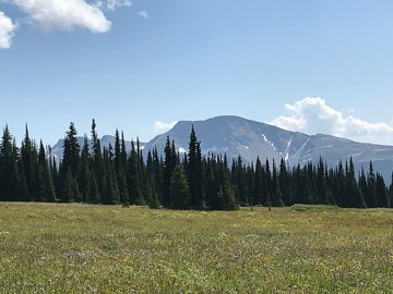 IMG_3215