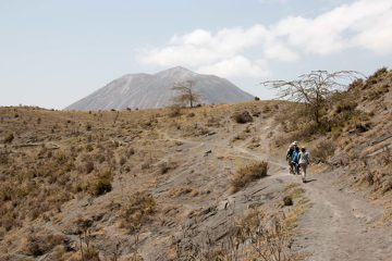 IMG_6736