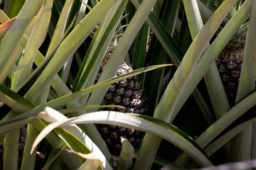 23022012-114.jpg
