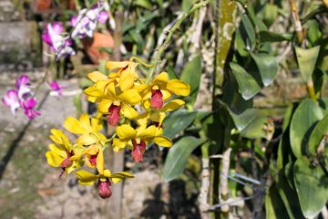 IMG_0223.jpg