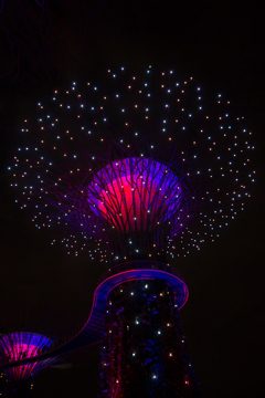 IMG_9776