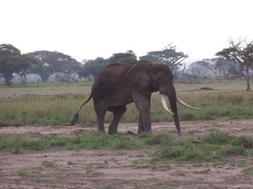 100_1277.jpg