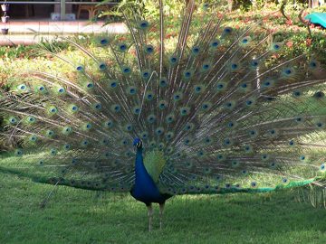 100_2649.jpg