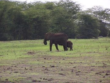 100_1344.jpg