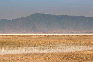 IMG_6388