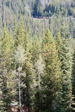 IMG_0476