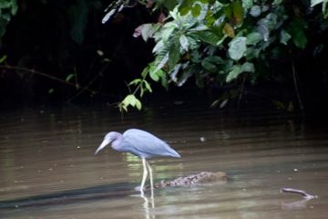 20022012-116.jpg