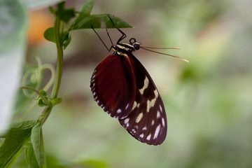 25022012-28.jpg