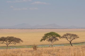 IMG_6198