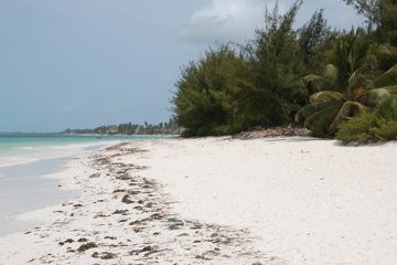 IMG_7837