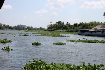 IMG_0307.jpg