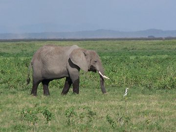100_1145.jpg