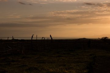 IMG_7041