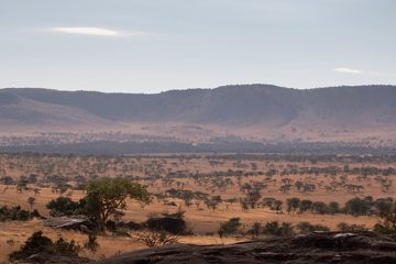 IMG_7331