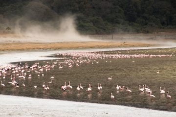 IMG_6539