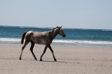 28022012-124.jpg
