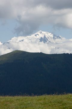 14082013-218.jpg