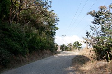 24022012-276.jpg