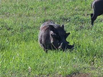 100_1592.jpg