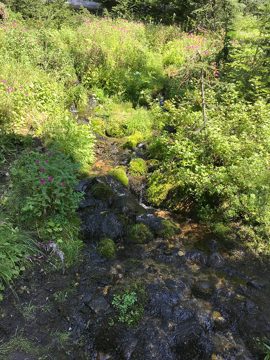 IMG_3208