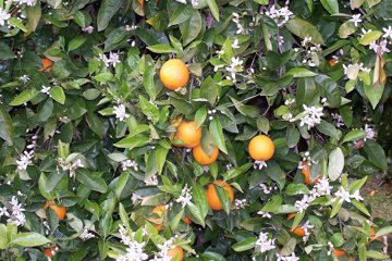 100_2155.jpg