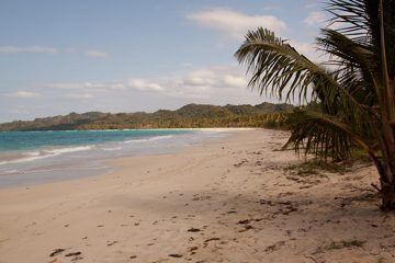 09032013-117.jpg