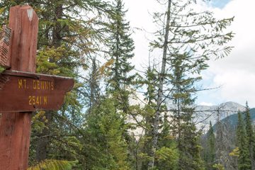 IMG_0530