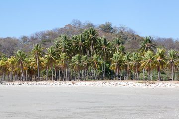 28022012-130.jpg