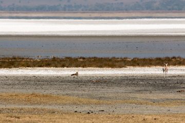 IMG_6259