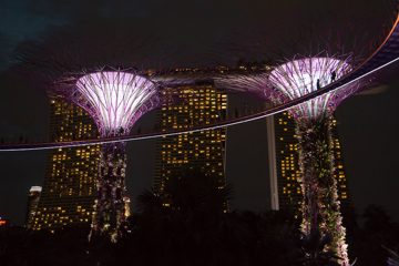 IMG_9761