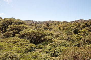 IMG_8717