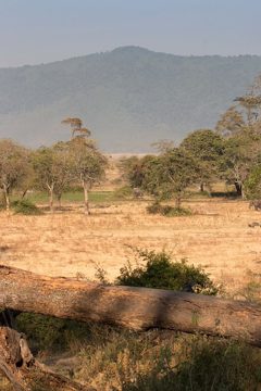 IMG_6429