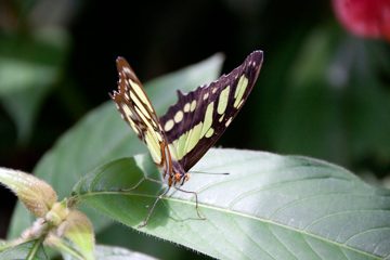 19022012-49.jpg