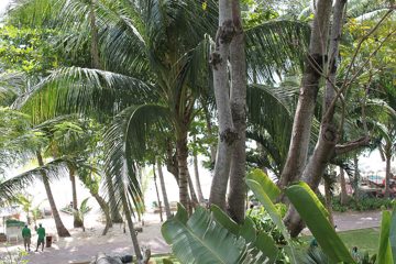 IMG_0681.jpg