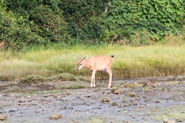 IMG_0791