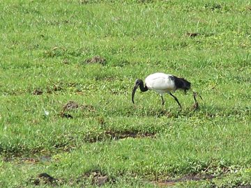 100_1147.jpg