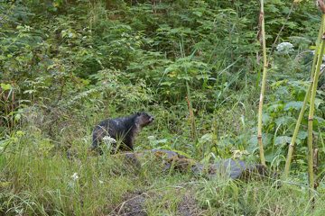 IMG_9897