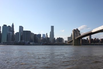 IMG_1392.jpg