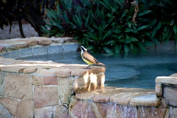 28022012-69.jpg