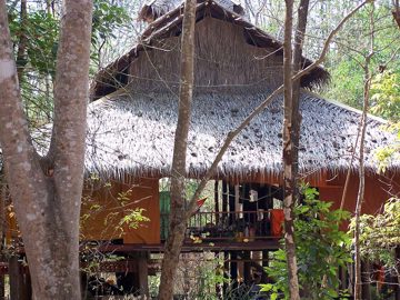 100_3397.jpg