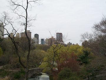 100_0486.jpg