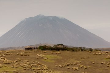 IMG_6627